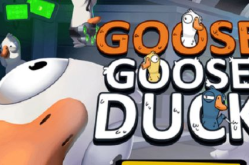 娱乐吃瓜鹅鸭视频下载,鹅鸭视频下载攻略，轻松获取热门娱乐内容