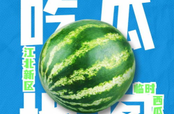 娱乐吃瓜资料来源于什么,揭秘娱乐圈吃瓜资料的来源与传播