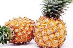 娱乐吃瓜小菠萝视频大全,盘点热门视频大全