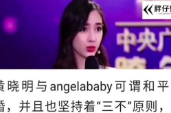 明星娱乐圈吃瓜杨颖图片,揭秘明星幕后生活