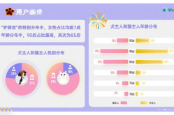 娱乐吃瓜酱ppt排版图,揭秘潮流视觉盛宴